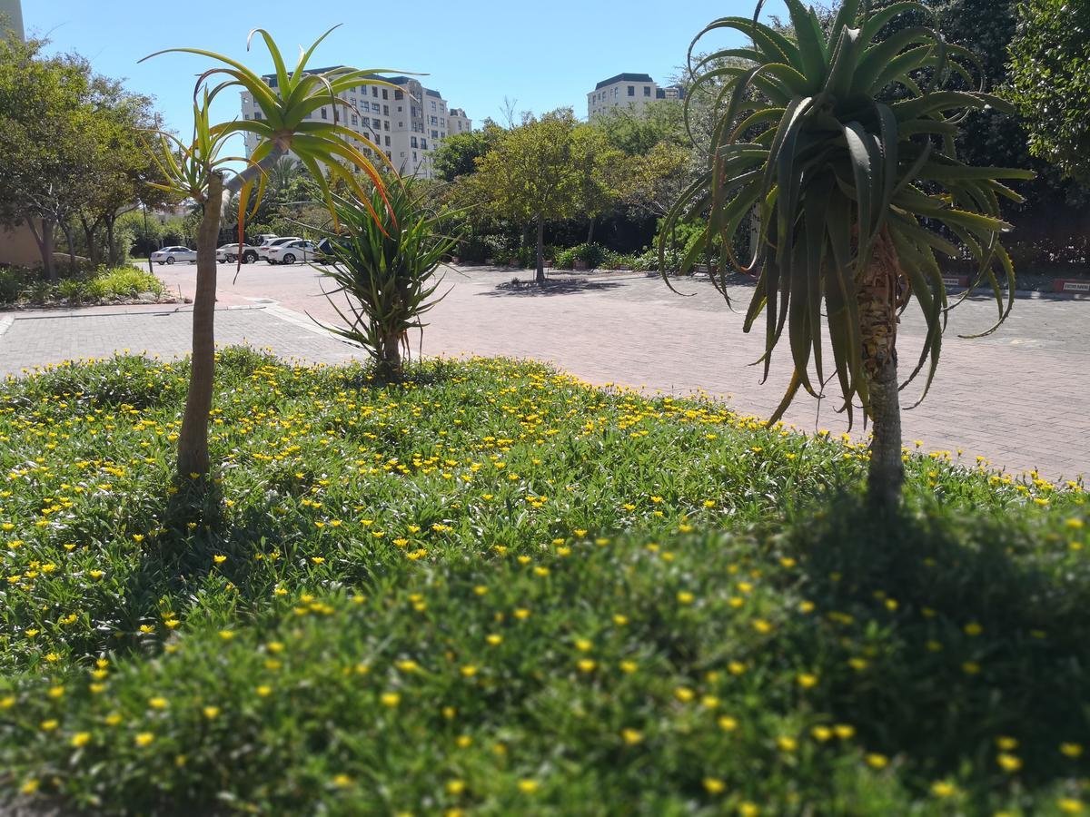 Majorca Apartments By Bon Hotels เคปทาวน์ ภายนอก รูปภาพ