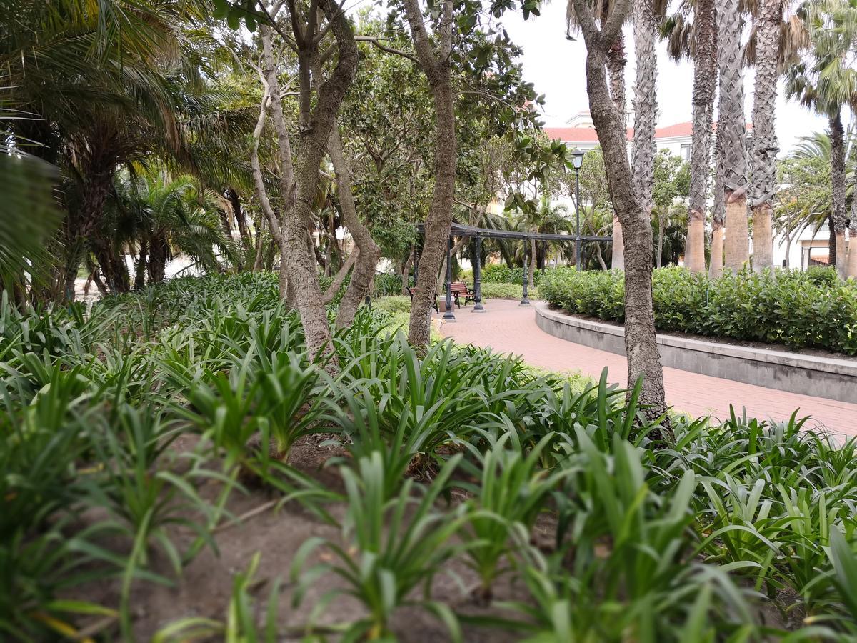 Majorca Apartments By Bon Hotels เคปทาวน์ ภายนอก รูปภาพ